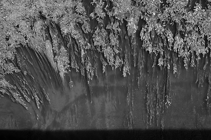 ponte alla grazie 8-2017 1274